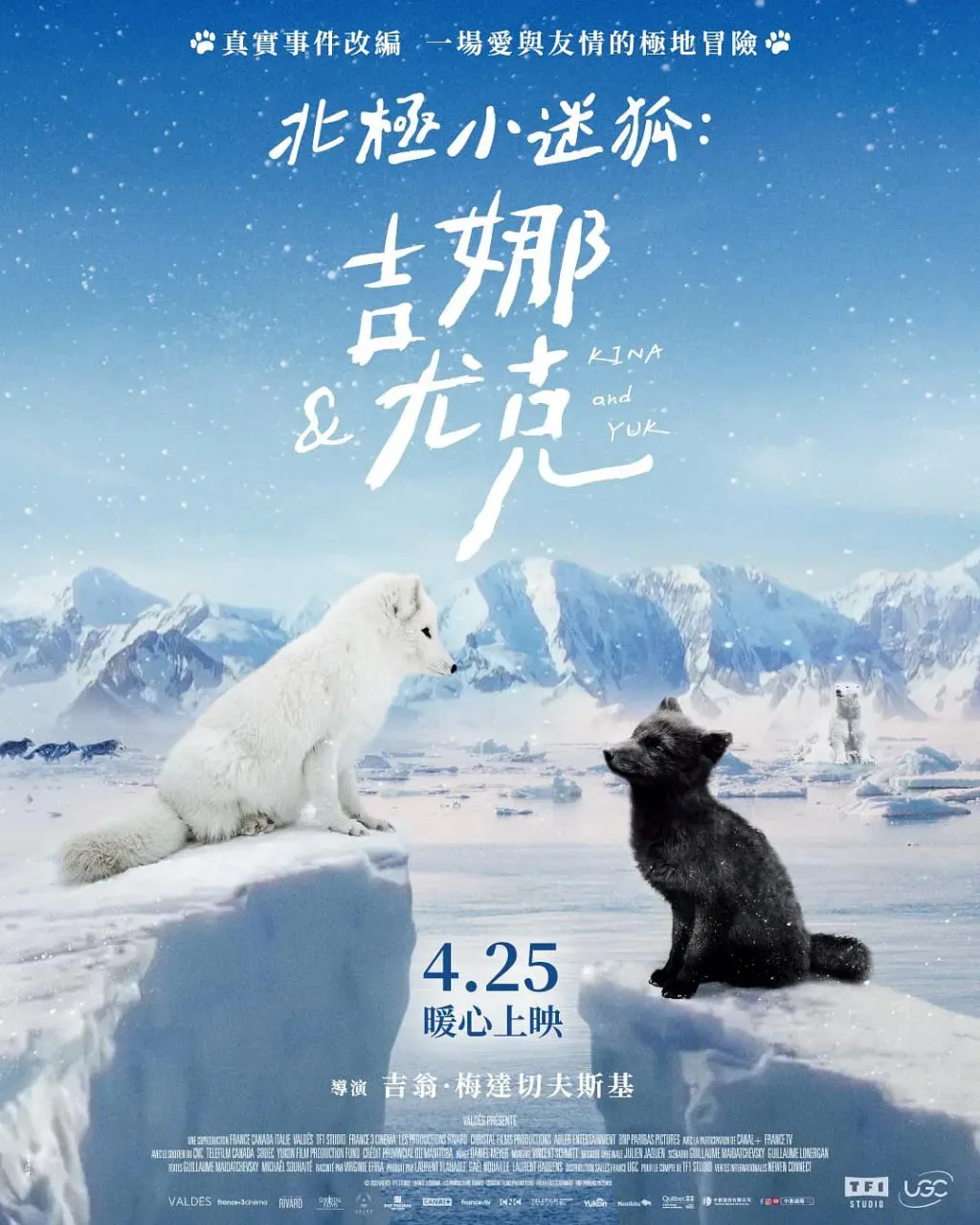 北极小迷狐：吉娜和尤克