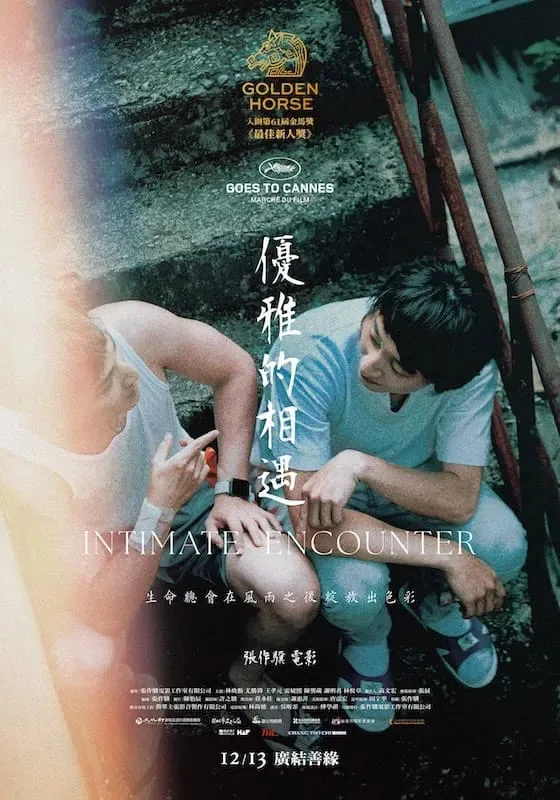 优雅的相遇